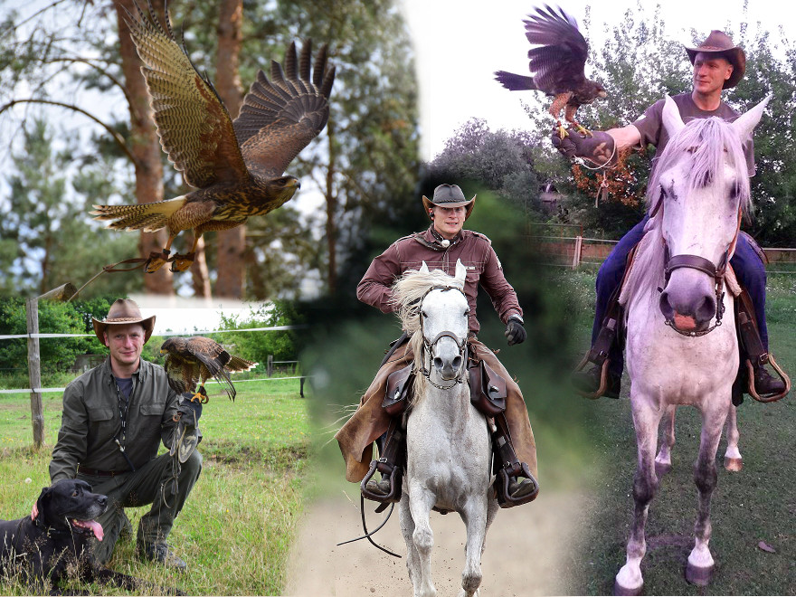 'FALCONRIDER' Bilderkollage mit 'Tex the Ranch' Eine kleine Kollage von Bildern mit 'Tex the Ranch' bei Showeinlagen für 'FALCONRIDER'